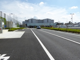 01.jpg