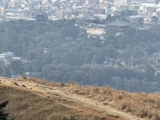 010.jpg
