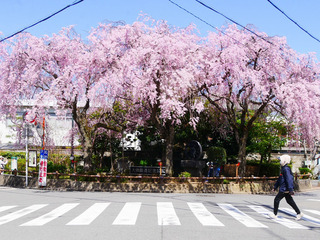 03.jpg