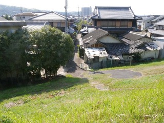 04.jpg