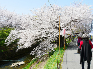 09.jpg