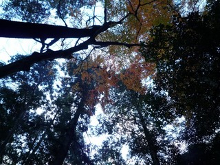 20100101-04.JPG