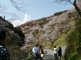 20120414-04.JPG