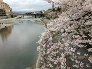 20130403s.jpg