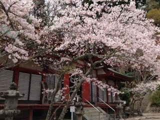20130410s.jpg