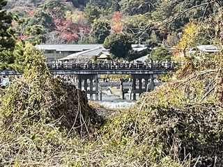 23011.jpg