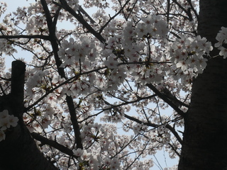 P1160037.JPG