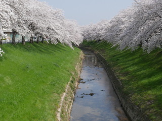 P1160042.JPG