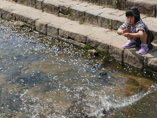 P1160056.JPG