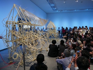 m-06.JPG