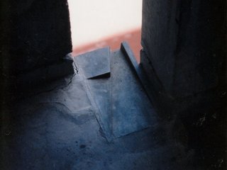 salk-04.jpg